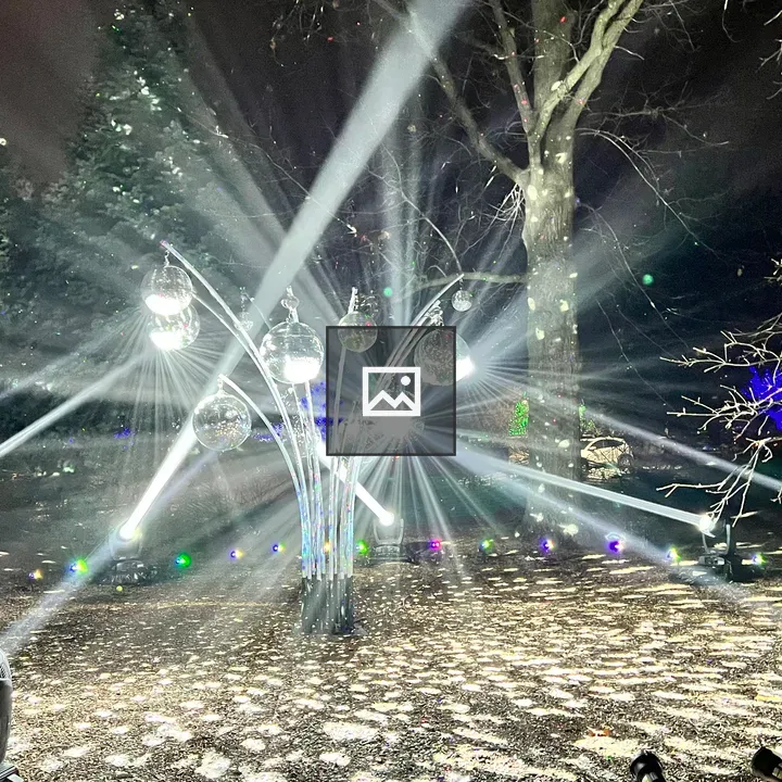 Disco balls in Arboretum grove