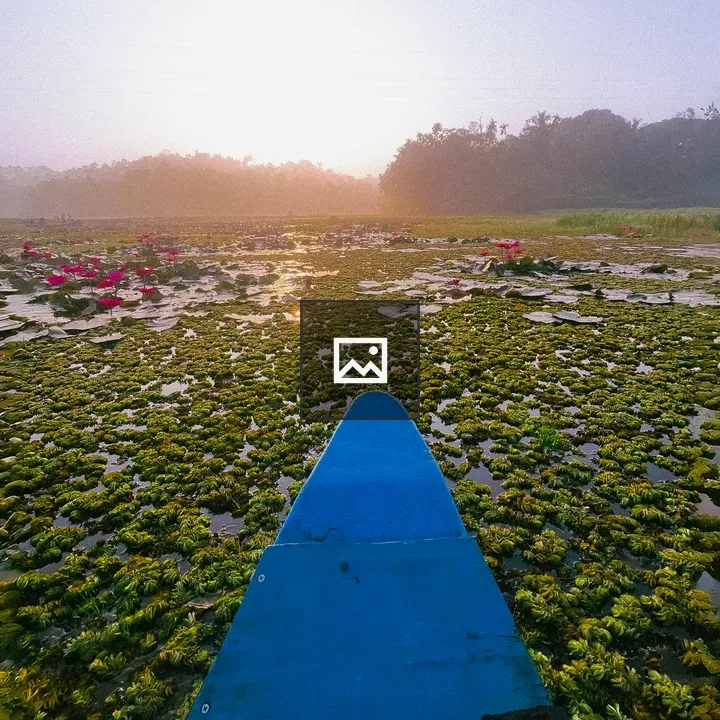 Bow of blue boat on lily pond