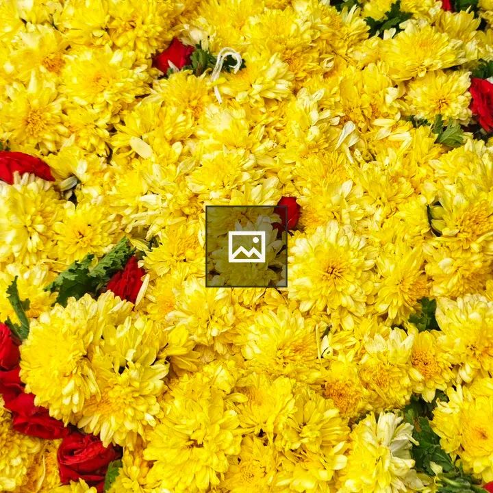 Yellow Chrysanthemums and Red Roses