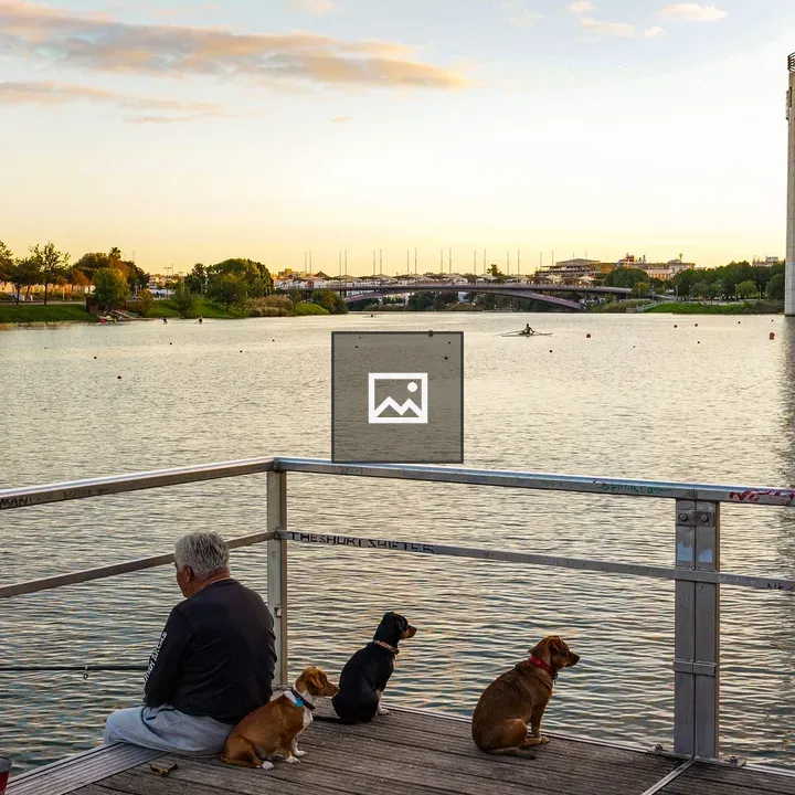 Man fishing with dogs on river platform