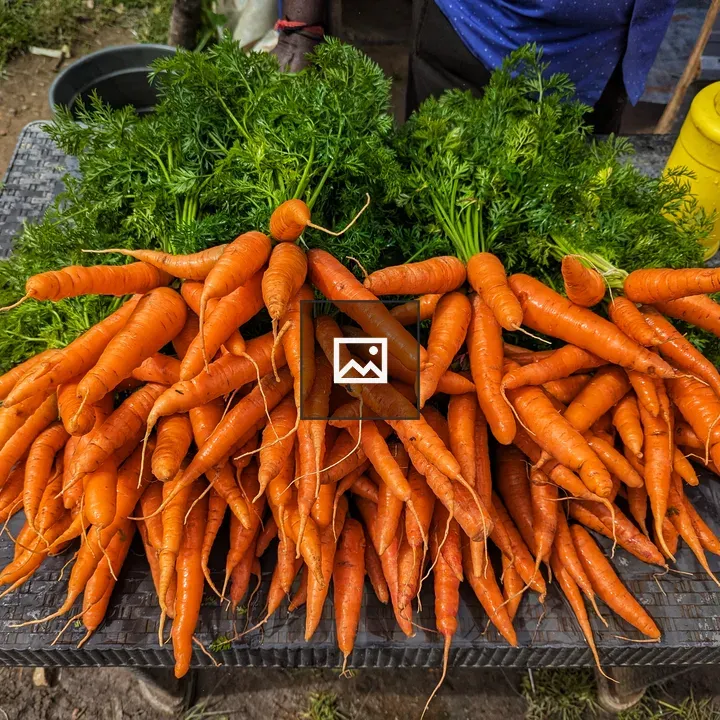 Carrots with Green Tops