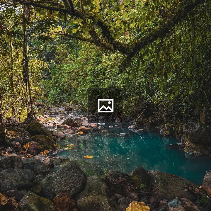Forest River with Turquoise Water