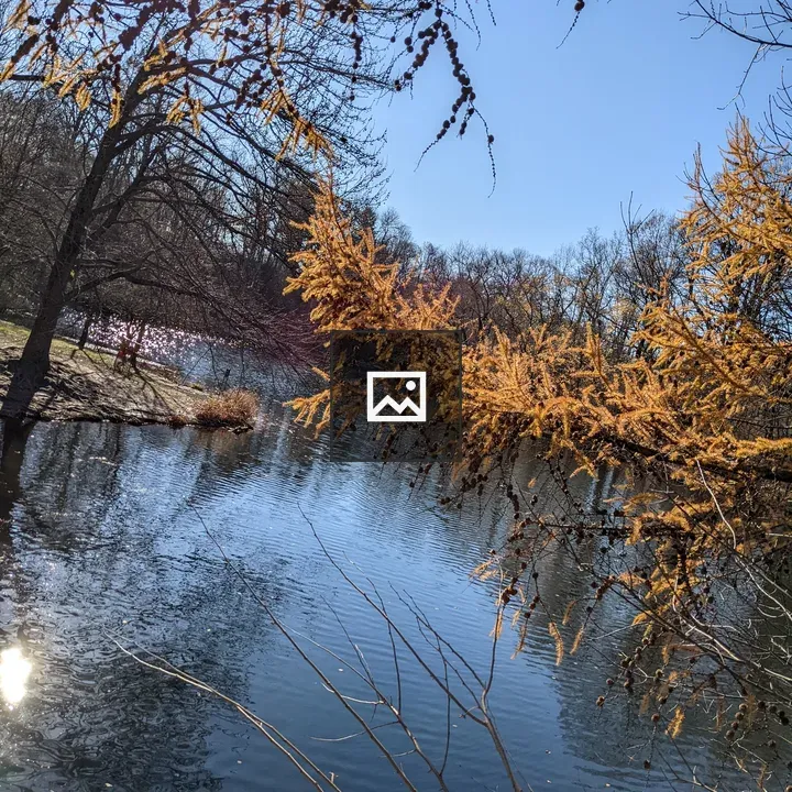Lake in Prospect Park