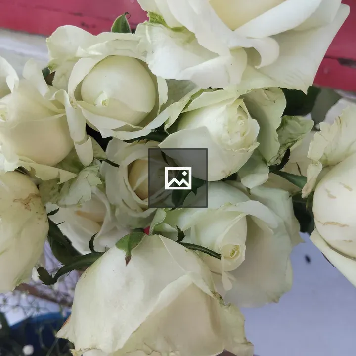 White Roses Bouquet Close-up