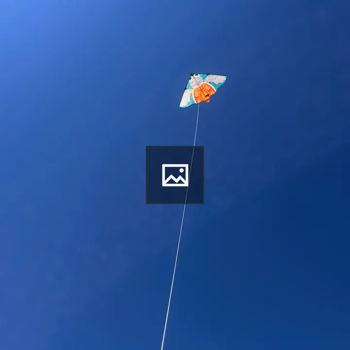 Triangular kite with turtle design