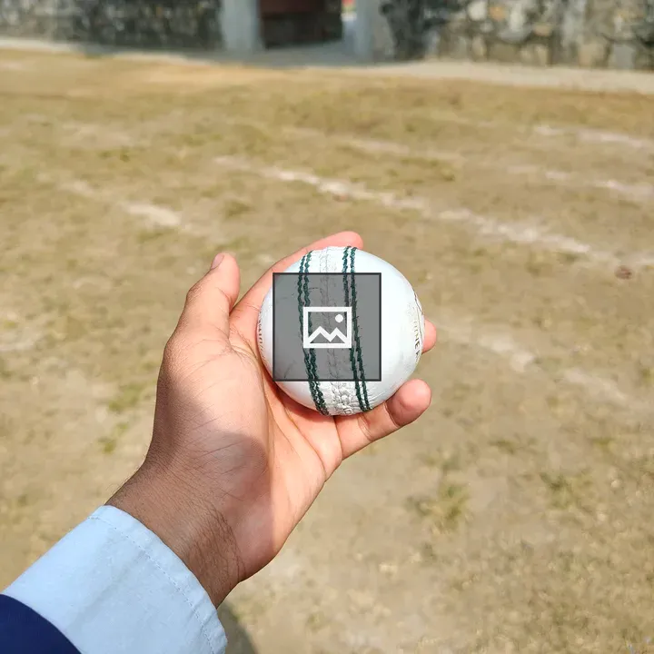 Hand holding cricket ball
