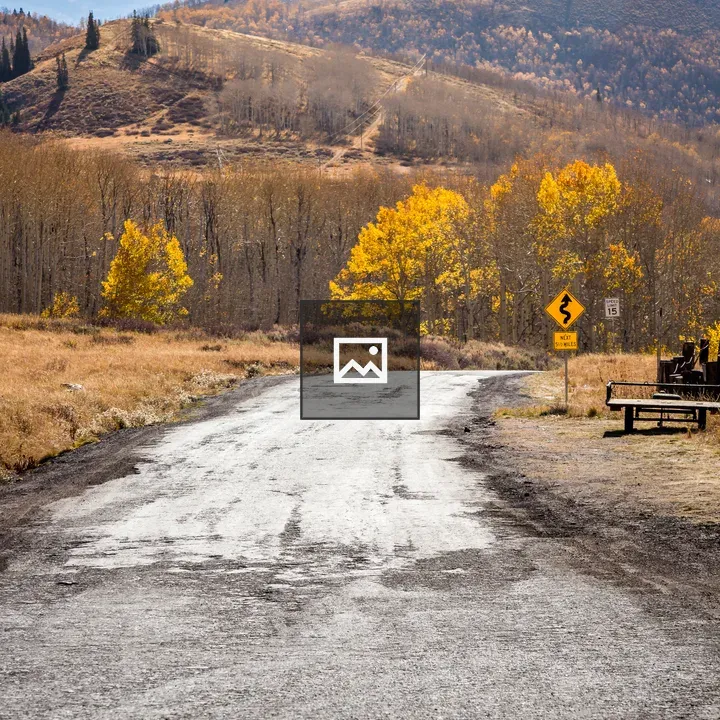 Road to the Mountain