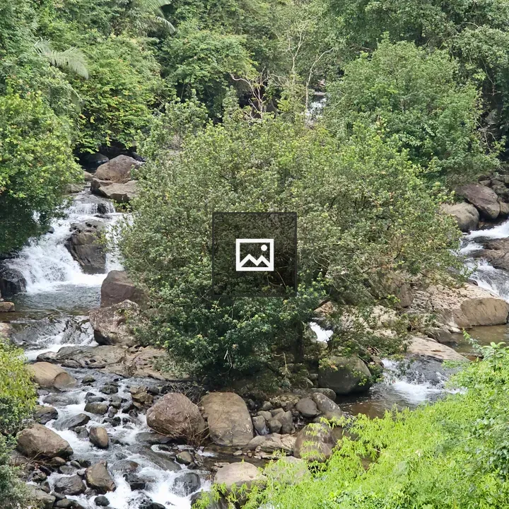 Rocky stream in Chalipuzha River