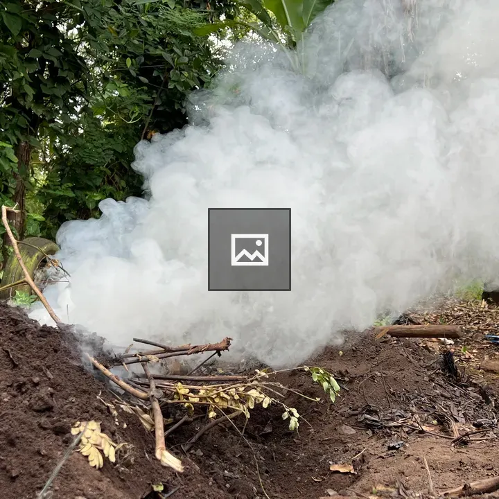Soil, Sticks, and Greenery