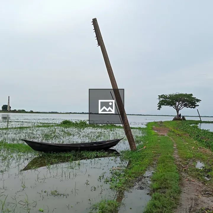 Wooden boat on wetland scene