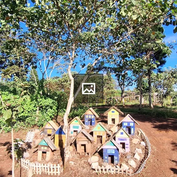 Colorful miniature birdhouses in garden