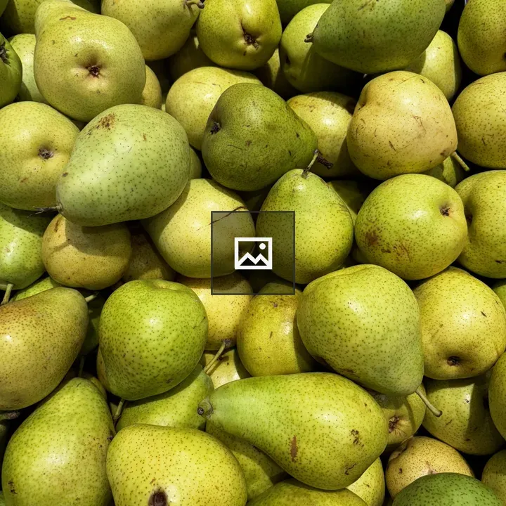 Pears in a Large Pile