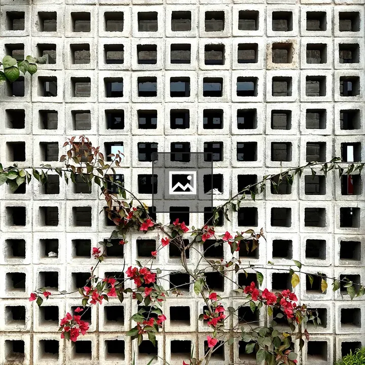 Bougainvillea in Architecture Pattern