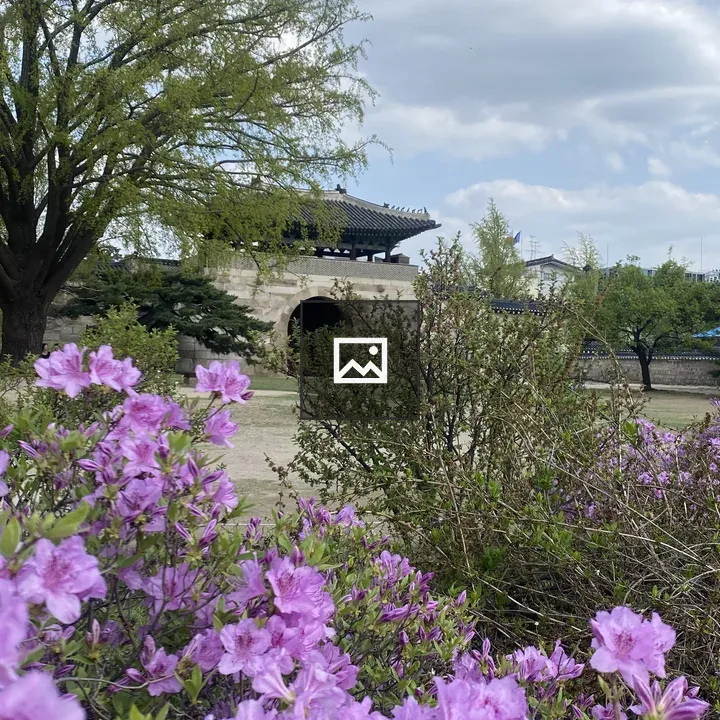 Azalea Flowers in Garden Foreground