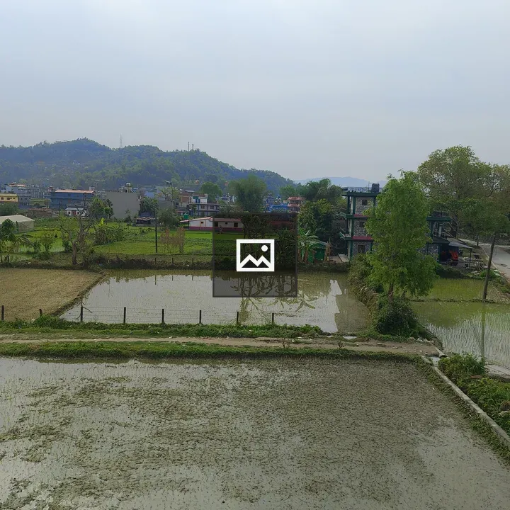 Rice paddies landscape