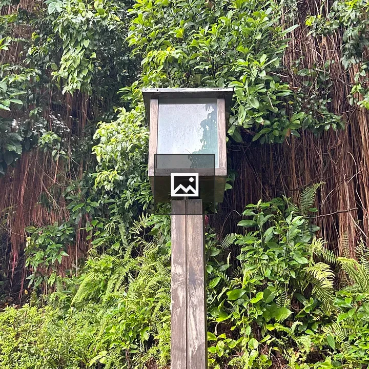 Wooden pole with square top structure