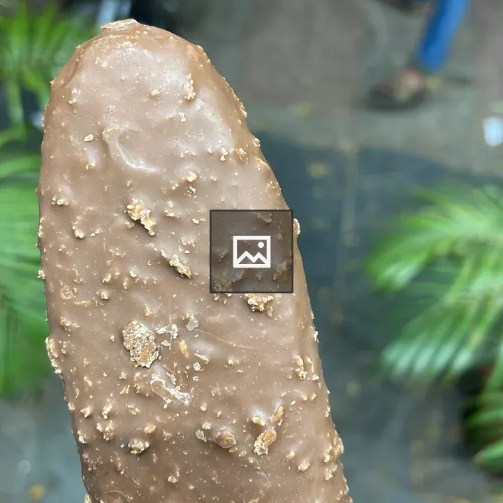 Chocolate-coated ice cream bar