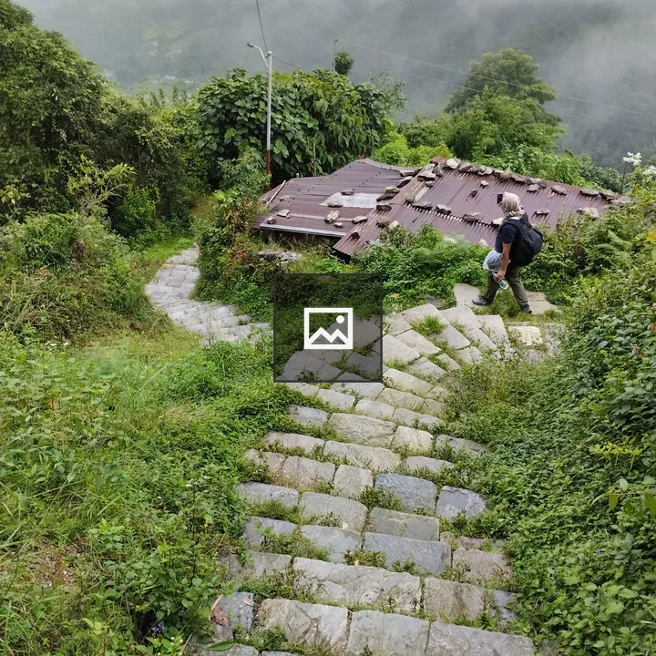 Mountain Dhampus Landscape