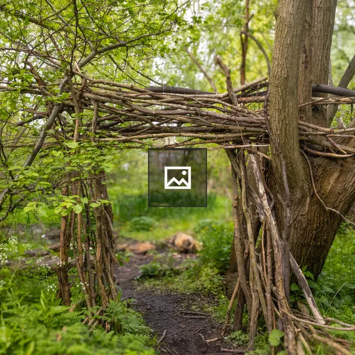 Rustic wooden archway in woodland