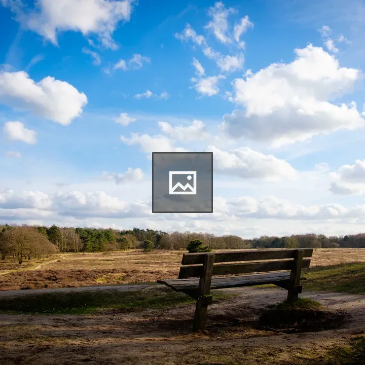 Bench by a hay field in The Netherlands