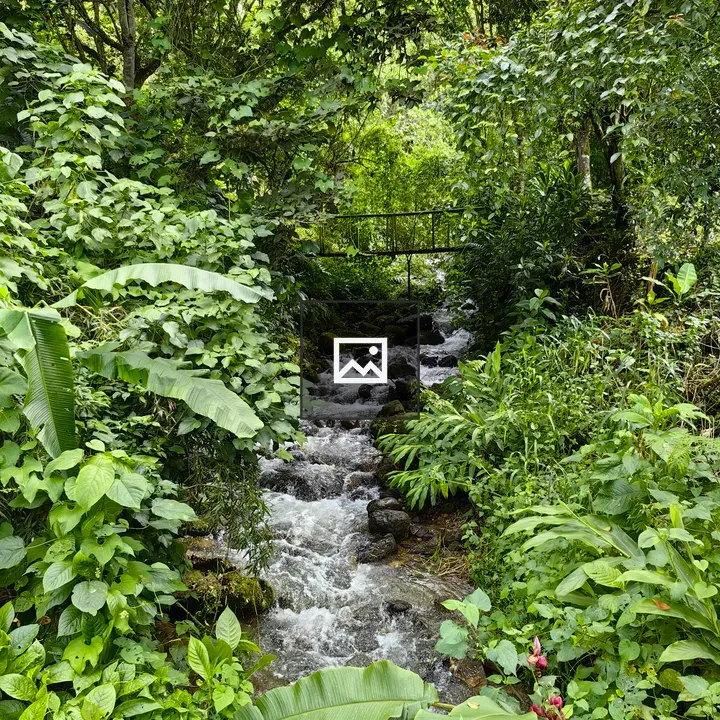 Green Landscape with Stream