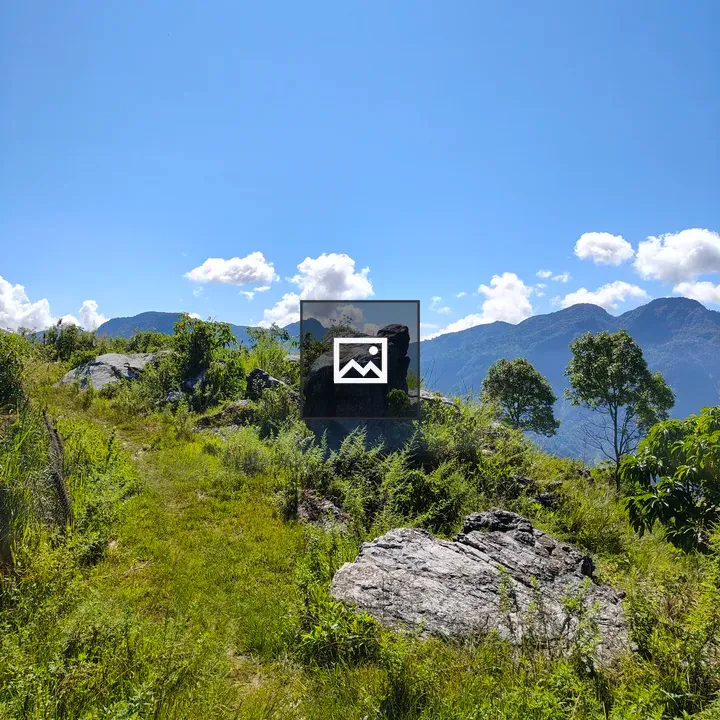 Rocky outcrop landscape