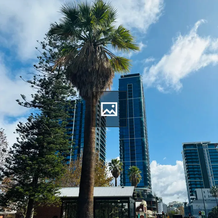 Tall Buildings and Trees View