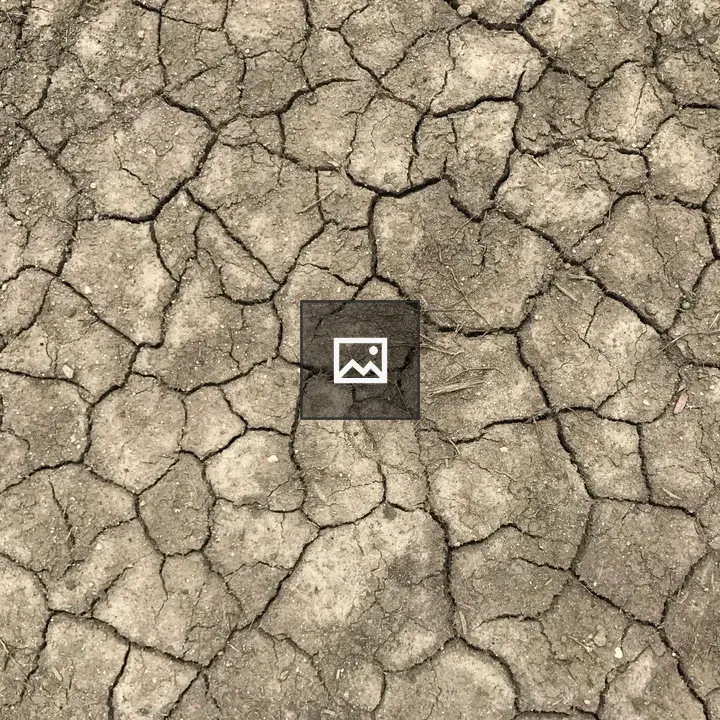 Overhead View of Mud Cracks