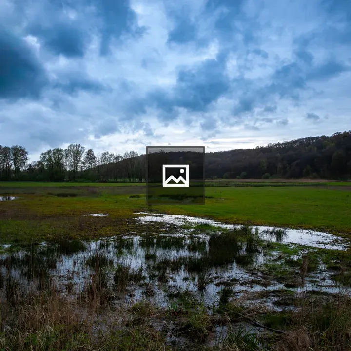 Flooded Grassland at De Diepen Reserve