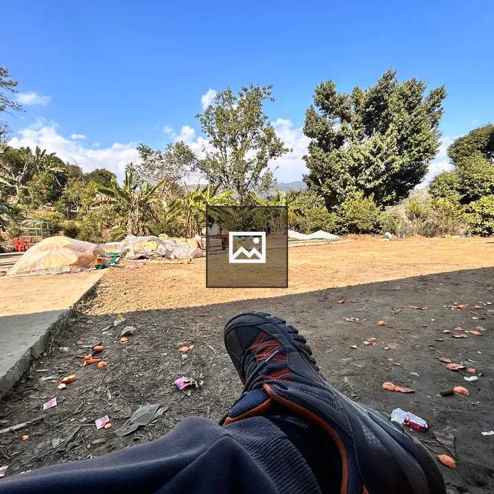 Sitting in an orange farm