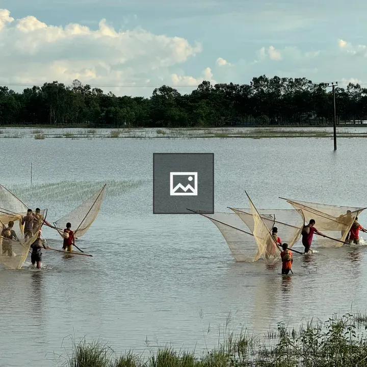 Group fishing in shallow water