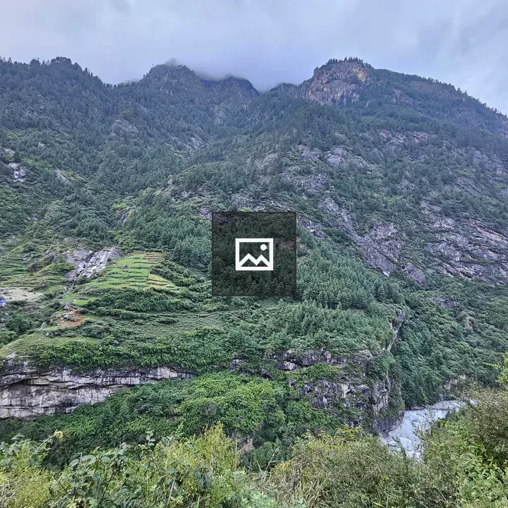 Terraced Green Mountain Landscape