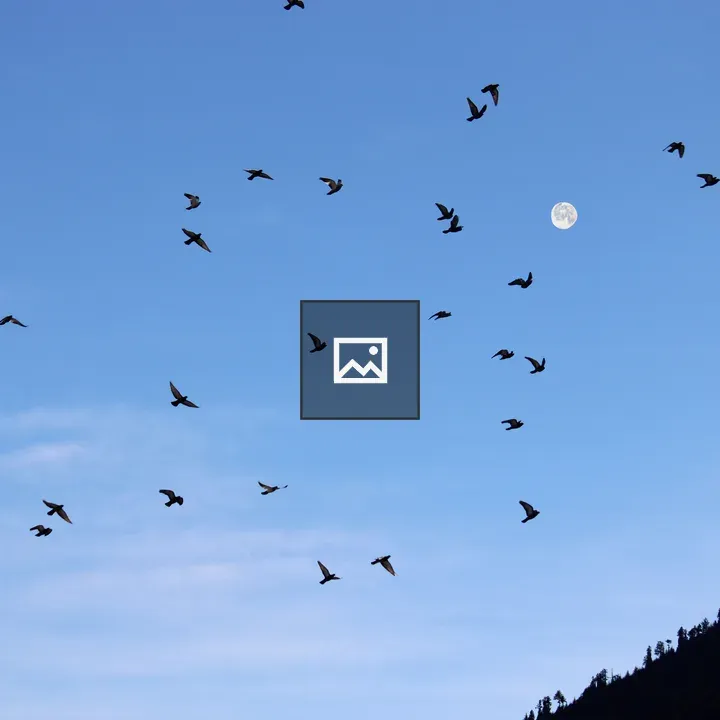 Flock of Birds in Blue Sky