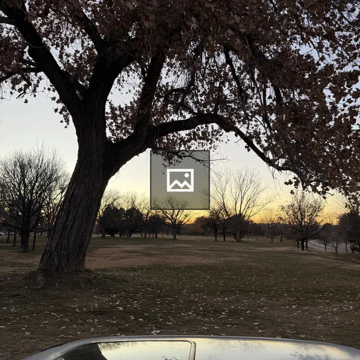 Fall tree with leaves on grass