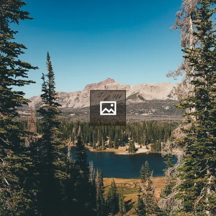 Mountain lake view between trees