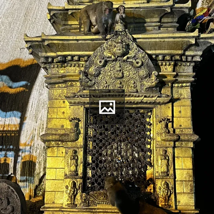 Golden temple with monkeys