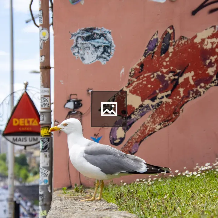 Seagull on graffiti wall