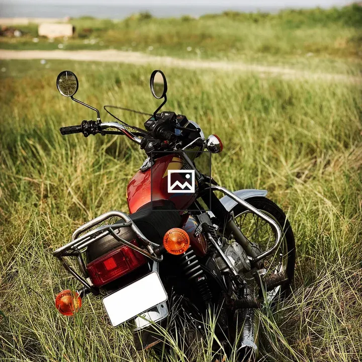 Red motorcycle in tall grass