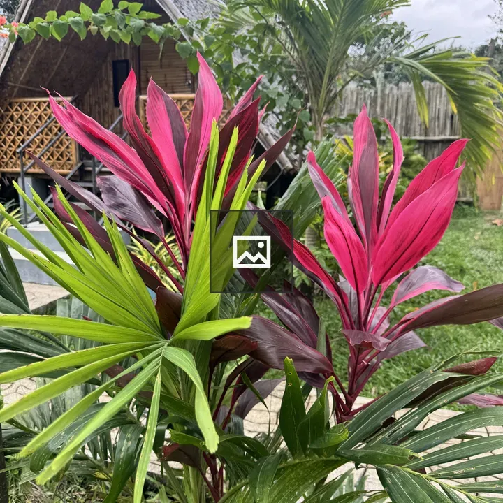 Lush garden with tropical foliage