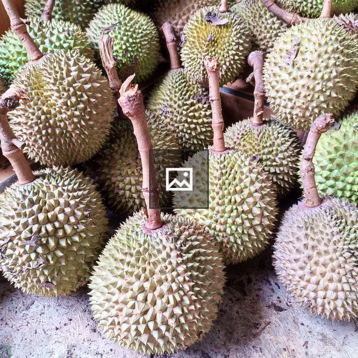 Durian fruit on table