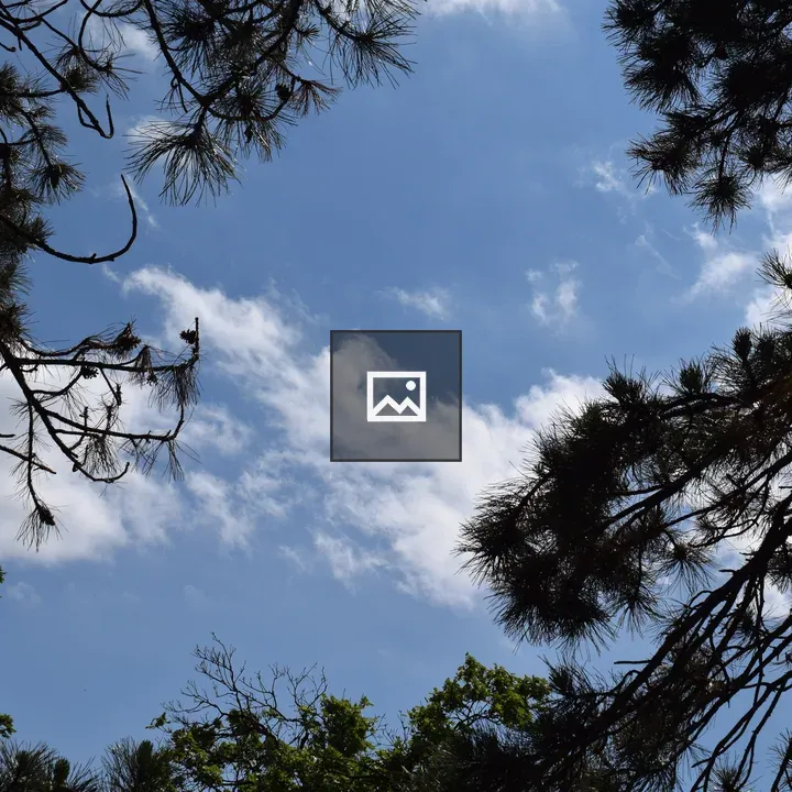 Blue Sky Over Trees