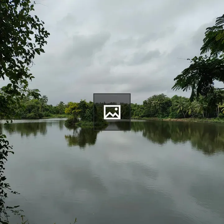 Lake scene with trees and sky