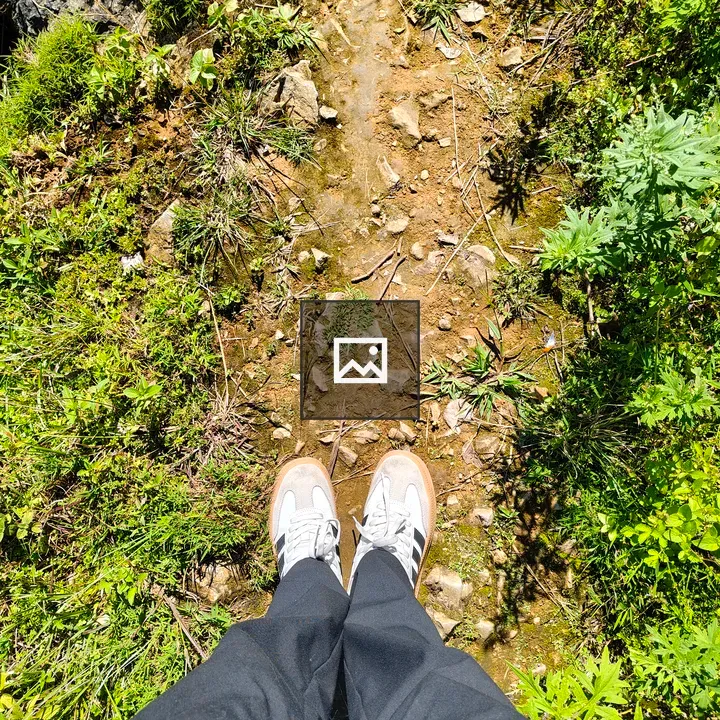 Pair of shoes on path