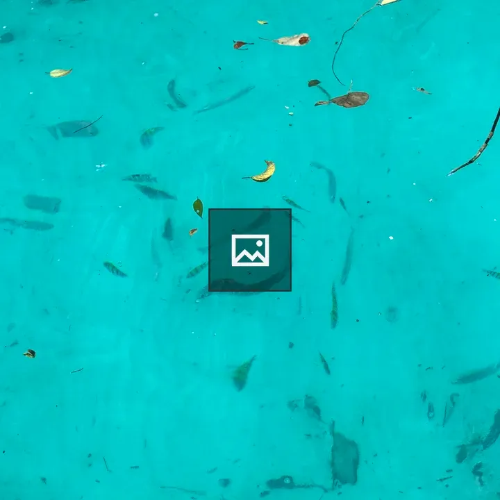 Top view of turquoise water with fish