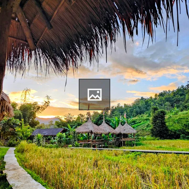 Rural Laos Scene with Rice Fields