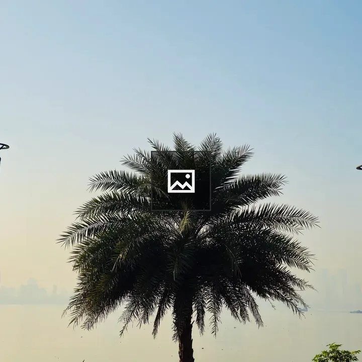 Palm Tree by the Seaside