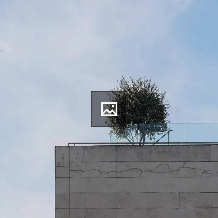 Small olive tree on stone building