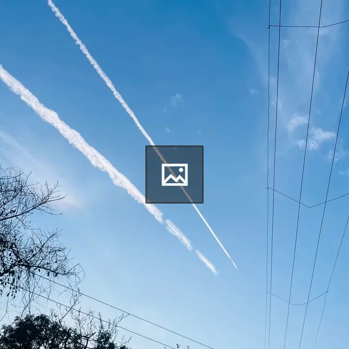 Network of electricity wires