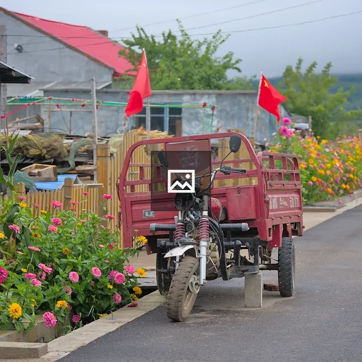 Broken Tricycle in Village