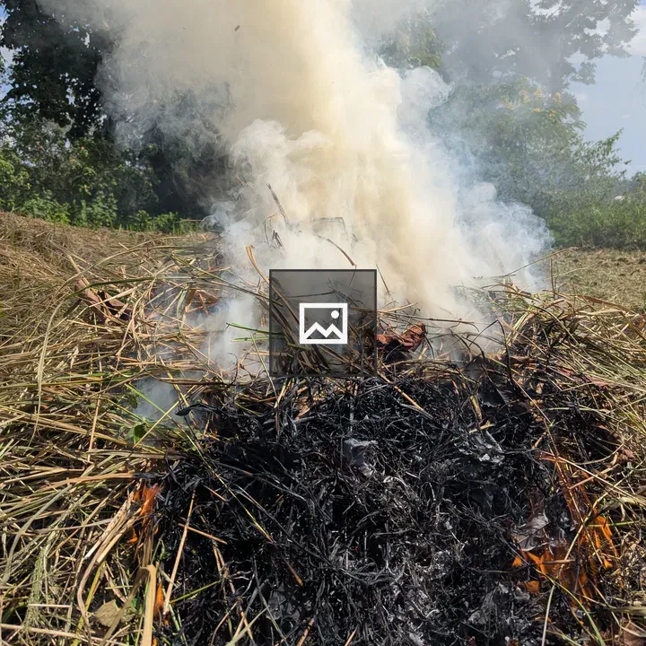 Burning Grass and Leaves